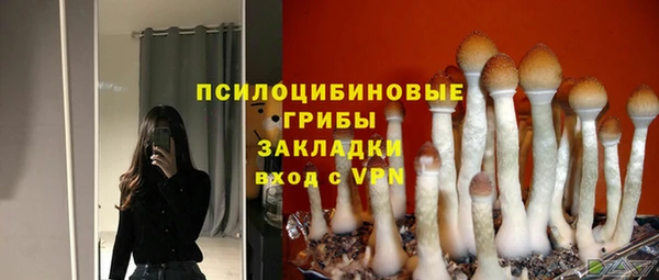 твердый Зерноград