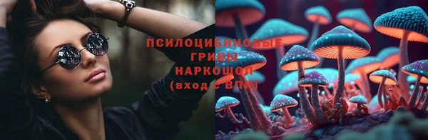 твердый Зерноград